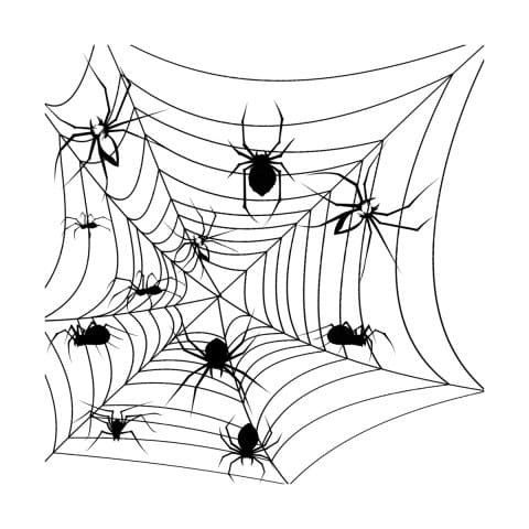 Desenhos de Teia de Aranha para colorir - 100 imagens impressão grátis