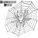 Raskrasil.com-Coloring-Pages-Spider-Web-80