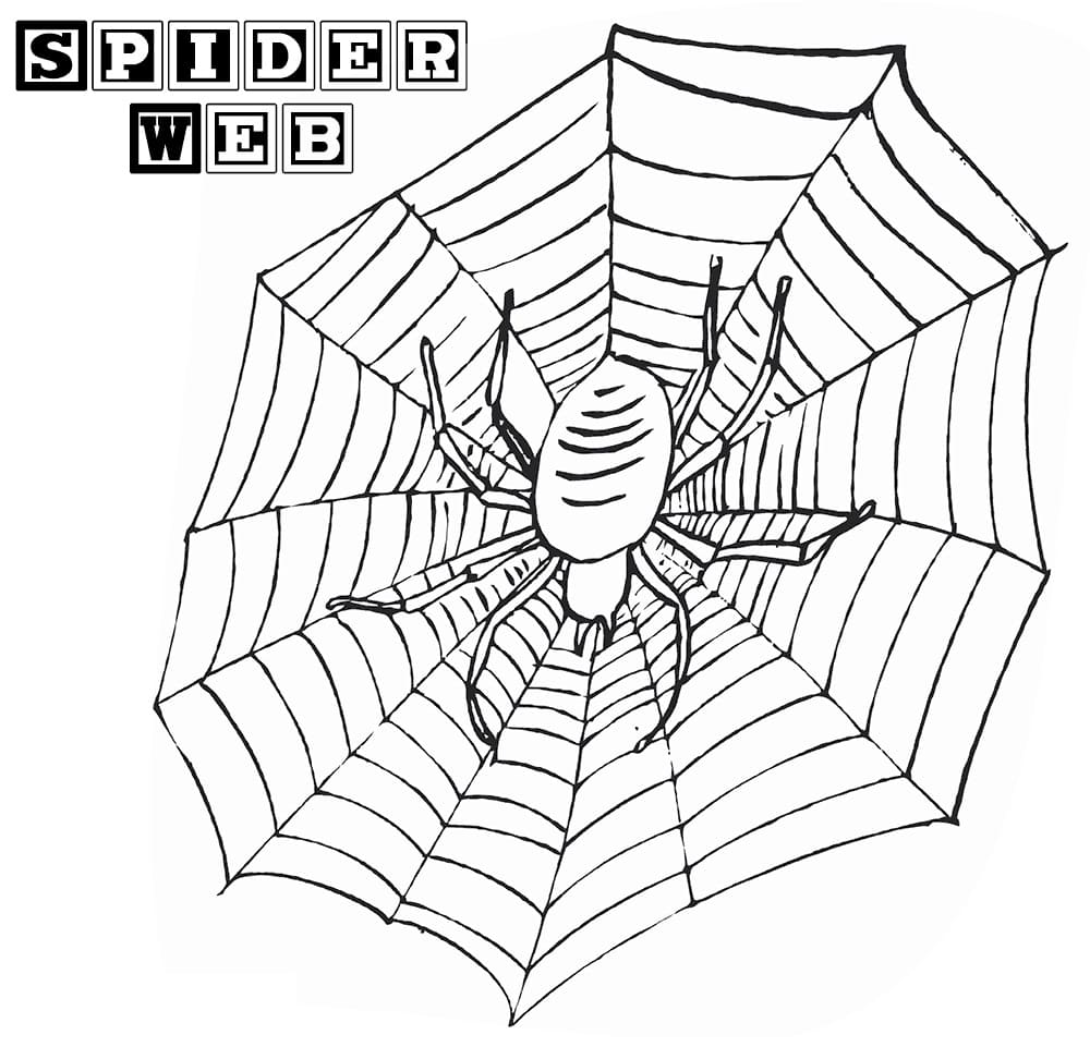 Ausmalbilder Spinnennetz   20 Malvorlagen Kostenlos zum Ausdrucken