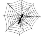 Raskrasil.com-Coloring-Pages-Spider-Web-82