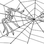 Raskrasil.com-Coloring-Pages-Spider-Web-86