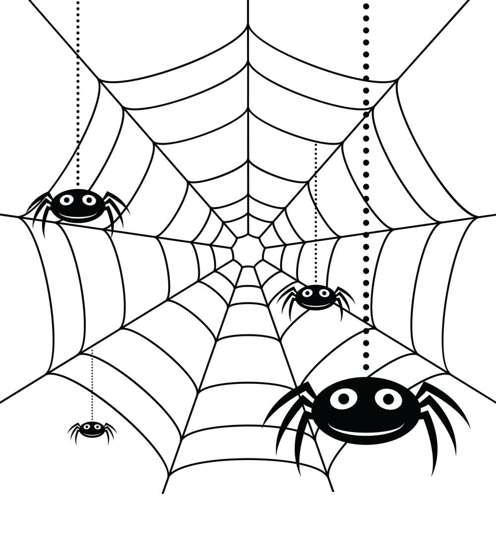 Spider Web Coloring Pages | 100 Pictures For Halloween Free Printable