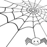 Raskrasil.com-Coloring-Pages-Spider-Web-99