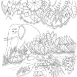 Raskrasil.com-Coloring-Pages-Spring-for-Adults-1