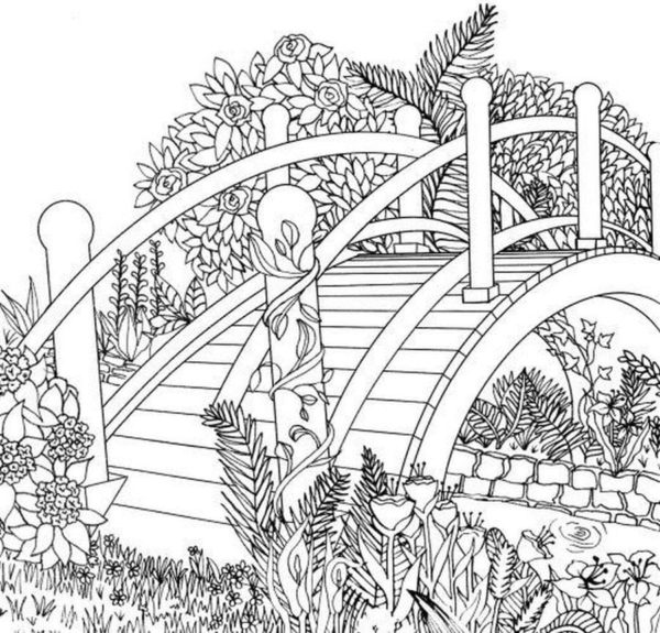 Spring Coloring Pages for Adults