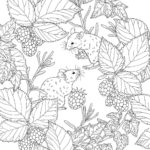 Raskrasil.com-Coloring-Pages-Spring-for-Adults-17