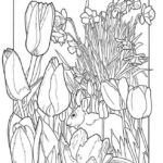 Previous Attachment