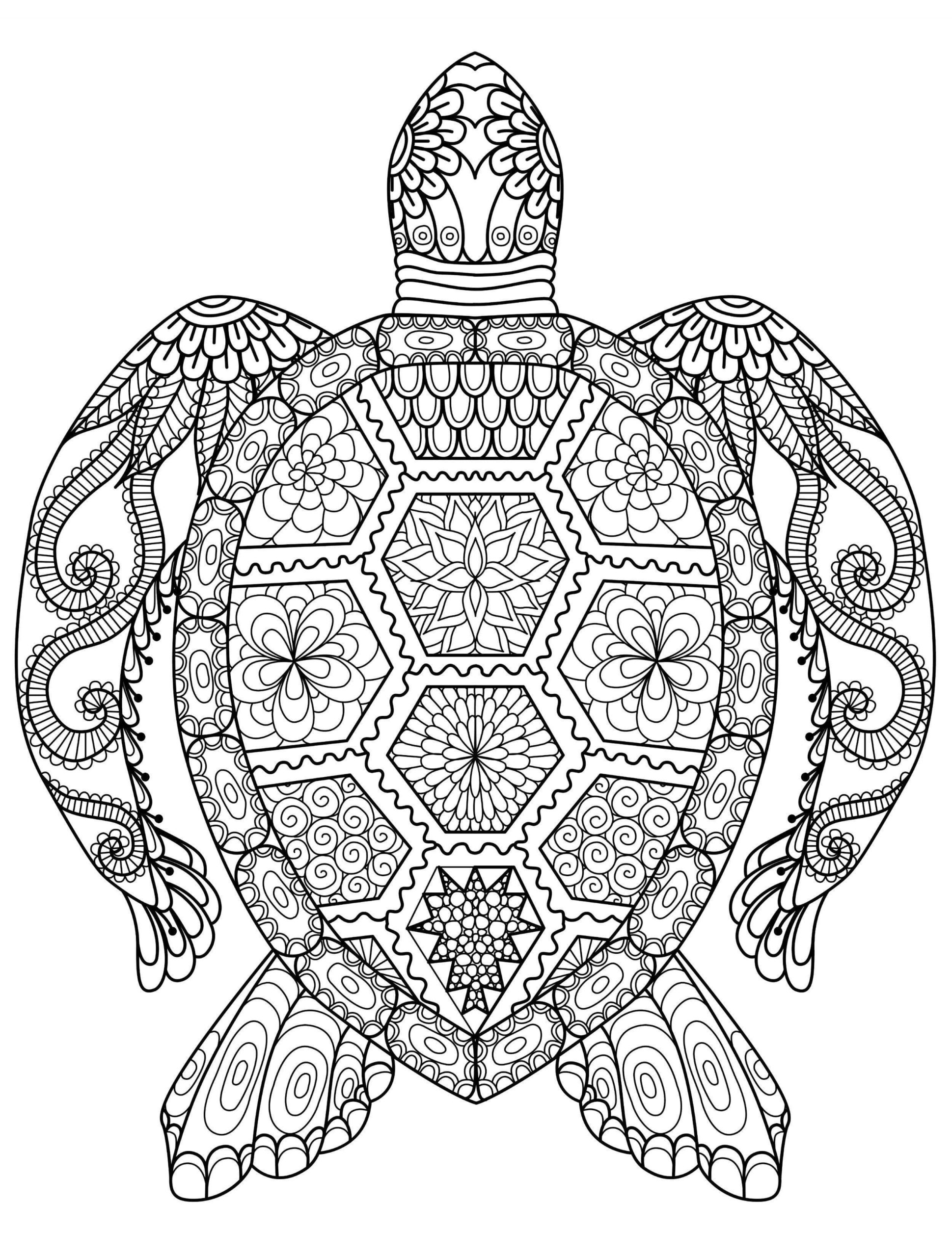 Raskrasil.com-Coloring-Pages-Spring-for-Adults-28