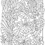 Previous Attachment