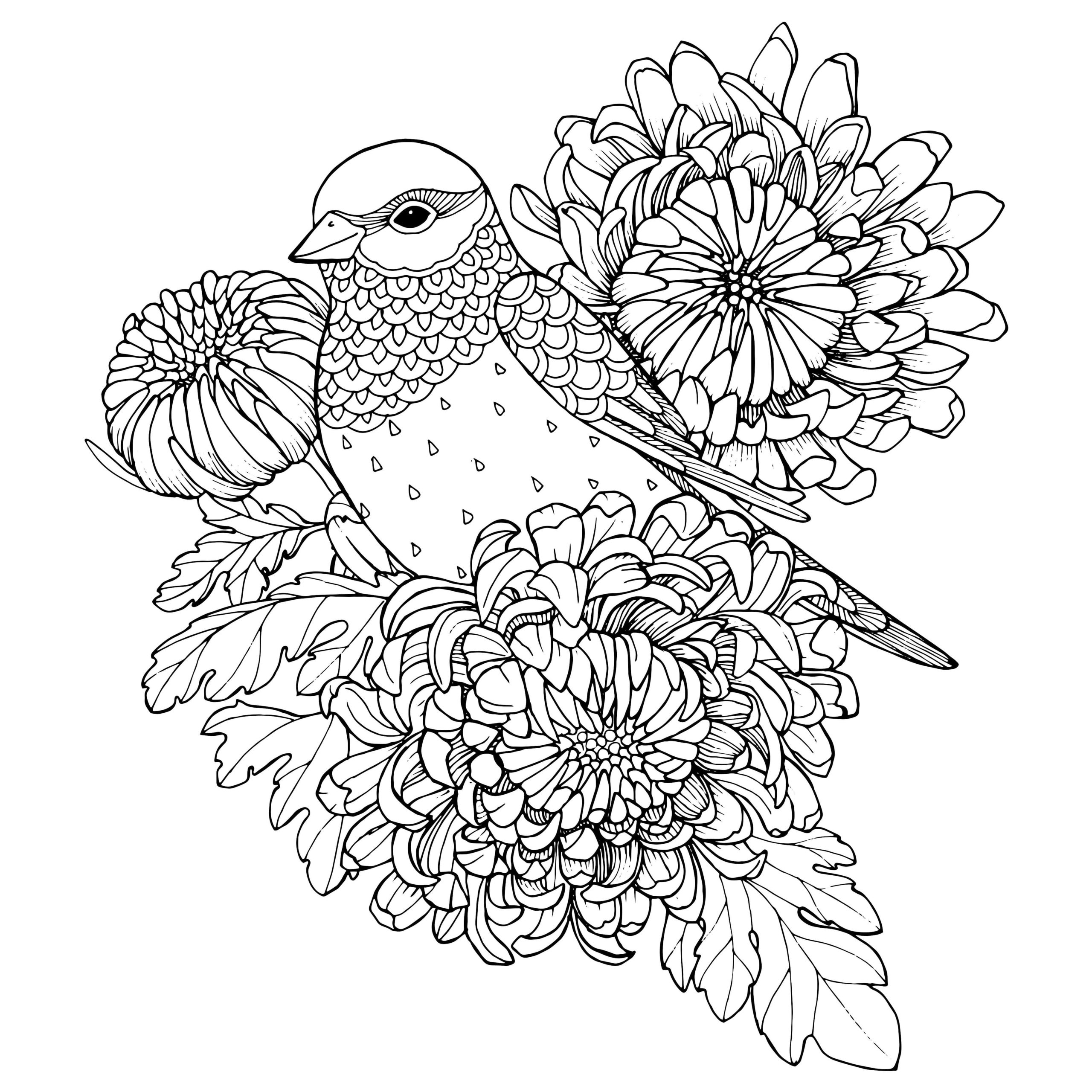 Raskrasil.com-Coloring-Pages-Spring-for-Adults-41