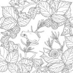 Raskrasil.com-Coloring-Pages-Spring-for-Adults-52