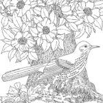 Raskrasil.com-Coloring-Pages-Spring-for-Adults-62