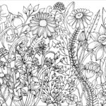 Raskrasil.com-Coloring-Pages-Spring-for-Adults-77