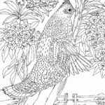 Raskrasil.com-Coloring-Pages-Spring-for-Adults-90