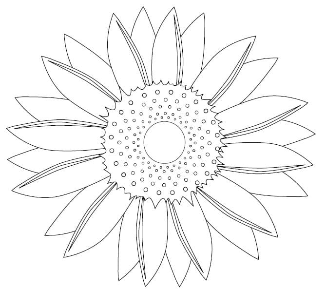 Raskrasil.com-Coloring-Pages-Sunflower-101