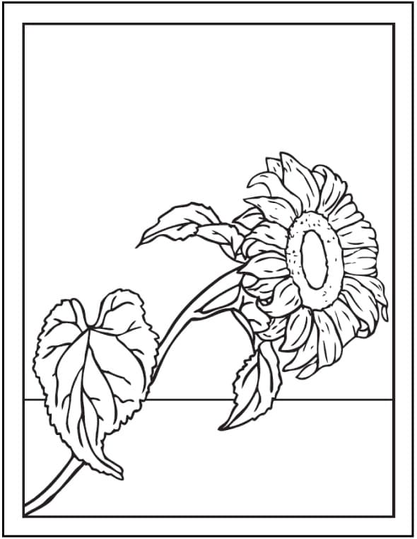Raskrasil.com-Coloring-Pages-Sunflower-69