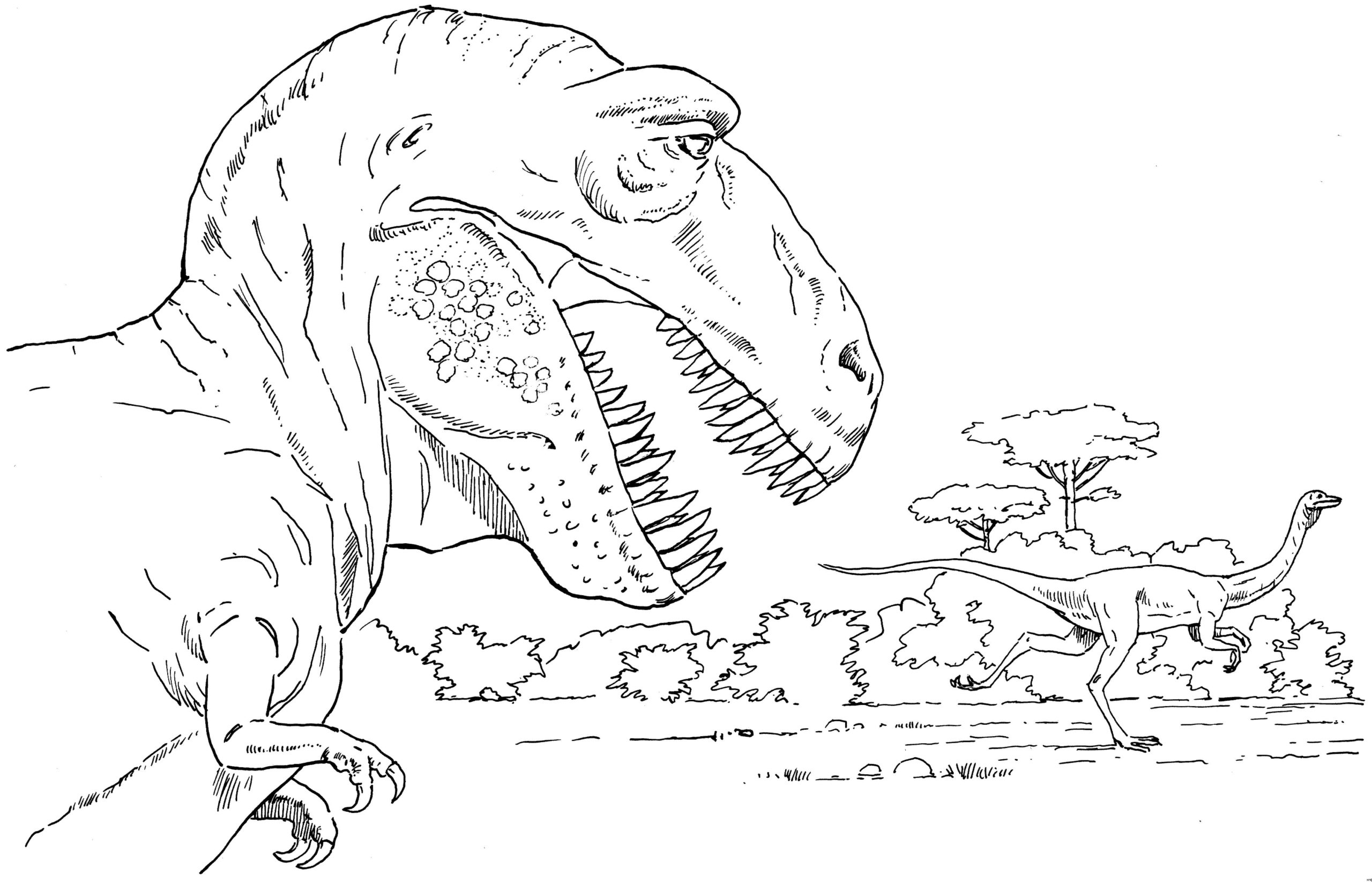 Raskrasil.com-Coloring-Pages-T-Rex-19