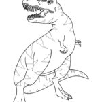 Raskrasil.com-Coloring-Pages-T-Rex-20