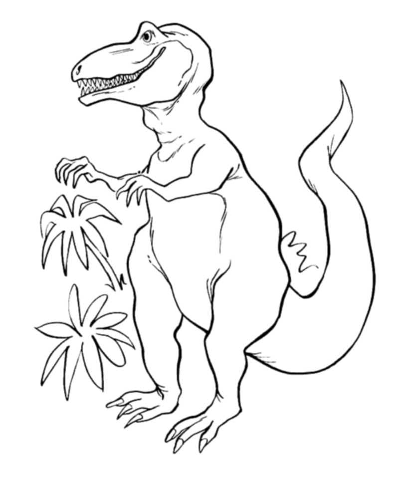 Raskrasil.com-Coloring-Pages-T-Rex-49