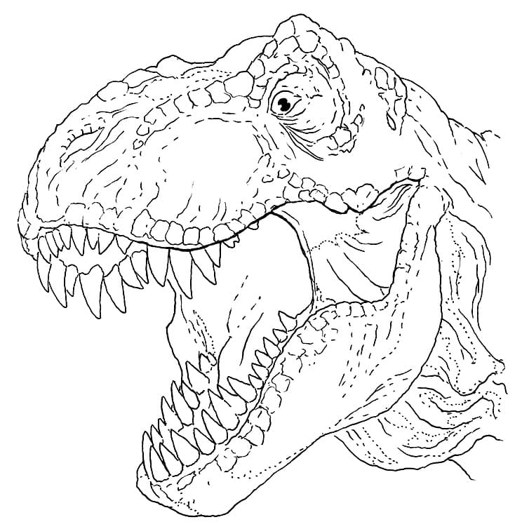 150 Desenhos de T-Rex para Colorir e Imprimir