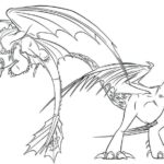 Raskrasil.com-Coloring-Pages-Toothless-108
