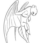Raskrasil.com-Coloring-Pages-Toothless-20