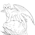 Raskrasil.com-Coloring-Pages-Toothless-22