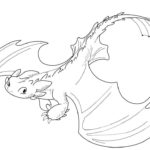 Raskrasil.com-Coloring-Pages-Toothless-27