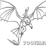 Raskrasil.com-Coloring-Pages-Toothless-58
