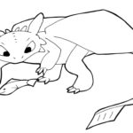 Raskrasil.com-Coloring-Pages-Toothless-63