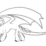 Raskrasil.com-Coloring-Pages-Toothless-69