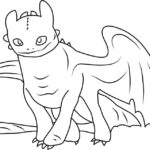 Raskrasil.com-Coloring-Pages-Toothless-81