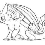 Raskrasil.com-Coloring-Pages-Toothless-82