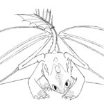 Raskrasil.com-Coloring-Pages-Toothless-84