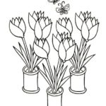Raskrasil.com-Coloring-Pages-Tulip-10