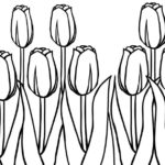 Raskrasil.com-Coloring-Pages-Tulip-104