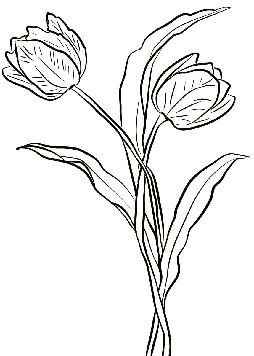 Dibujos de Tulipanes para Colorear - 100 imágenes para imprimir gratis