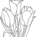Raskrasil.com-Coloring-Pages-Tulip-12