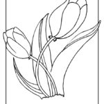 Raskrasil.com-Coloring-Pages-Tulip-16