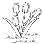 Raskrasil.com-Coloring-Pages-Tulip-2