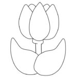 Raskrasil.com-Coloring-Pages-Tulip-22