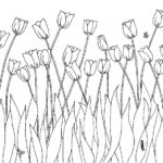 Previous Attachment