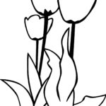 Raskrasil.com-Coloring-Pages-Tulip-27