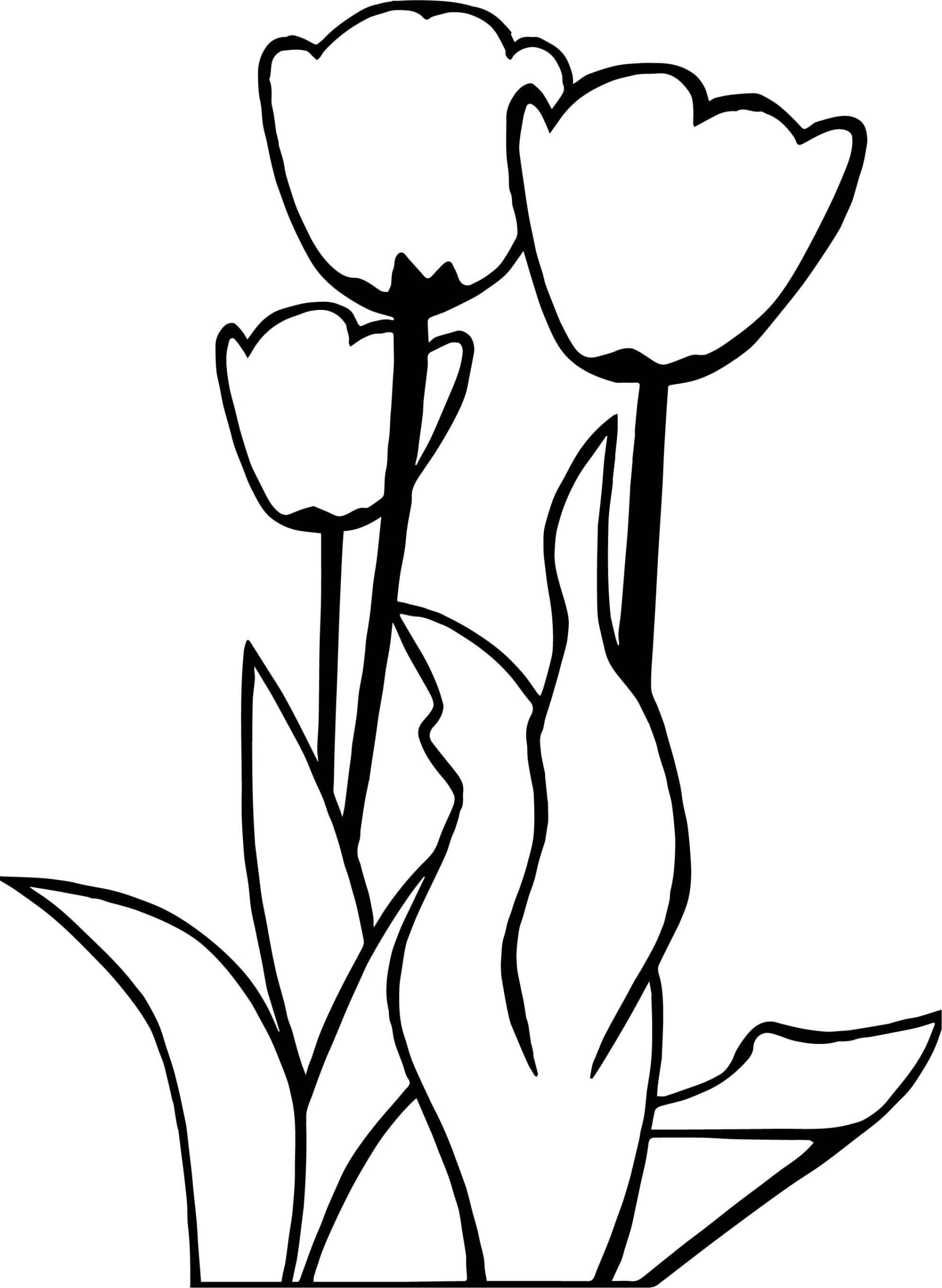 Raskrasil.com-Coloring-Pages-Tulip-27