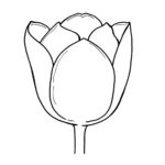 Next Attachment