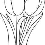 Raskrasil.com-Coloring-Pages-Tulip-38