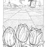 Raskrasil.com-Coloring-Pages-Tulip-40