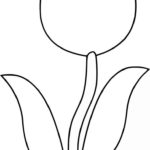 Raskrasil.com-Coloring-Pages-Tulip-45