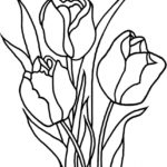 Raskrasil.com-Coloring-Pages-Tulip-49