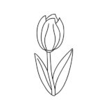Raskrasil.com-Coloring-Pages-Tulip-52